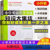 [正版]2019新版小学英语升学夺冠 知识大集结 习题归纳小升初知识大集结单词阅读语法四五六年级辅导书籍 同步课堂练习