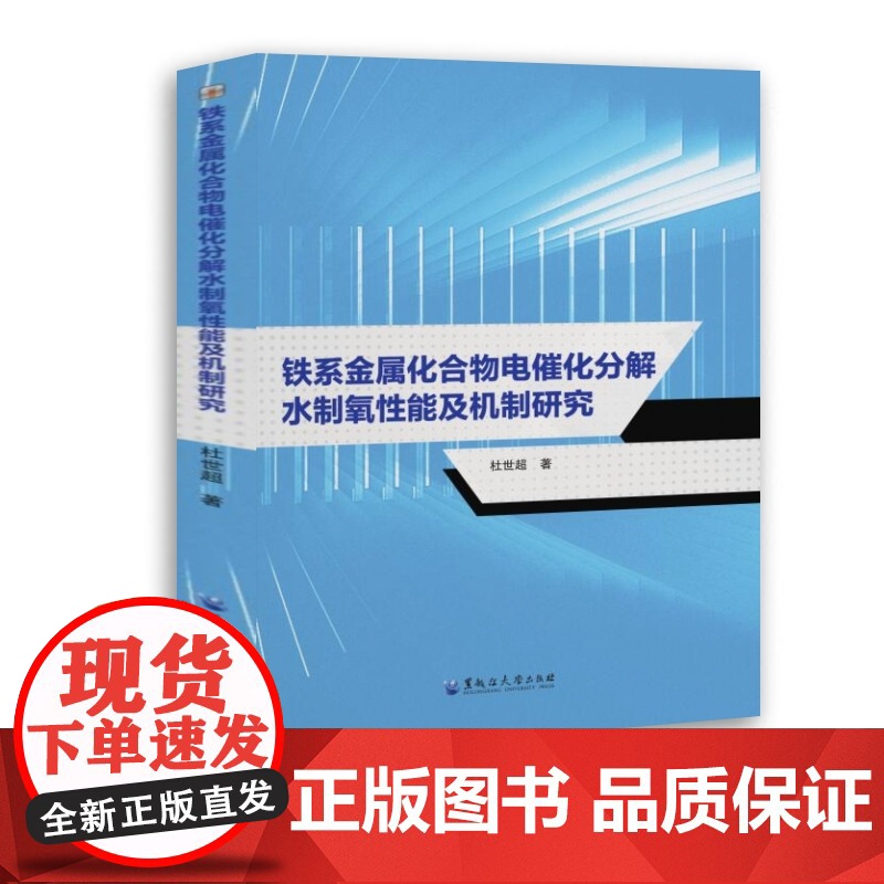 铁系金属化合物电催化分解水制氧性能及机制研究