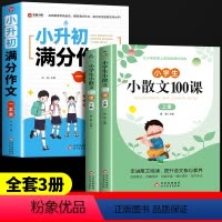 [全3册]小升初满分作文+小散文100课 小学升初中 [正版]小升初满分作文大全人教版 小学生六年级精选作文书大全小学升
