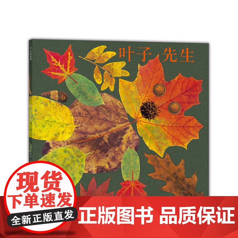 叶子先生 艺术绘本 秋天 落叶 大自然 手工创作 手工作业 凯迪克大奖得主 美国国家户外图书奖 美国《儿童》杂志