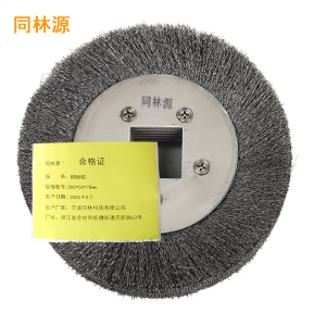 同林源钢丝轮 200*50*78mm 只