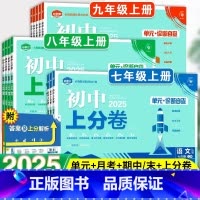 英语[人教版 无单选版] 八年级上 [正版]2025新版初中上分卷七年级八九年级上册数学物理语文英语政治历史地理生物七下