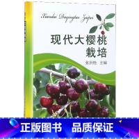 [正版]现代大樱桃栽培