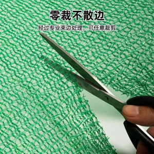 盖土网 6针8*30米