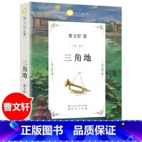 三角地 [正版]青铜葵花完整版原版曹文轩系列儿童文学8-12岁小学生课外阅读书籍草房子芦花鞋人教版三四五六年级课外书人民