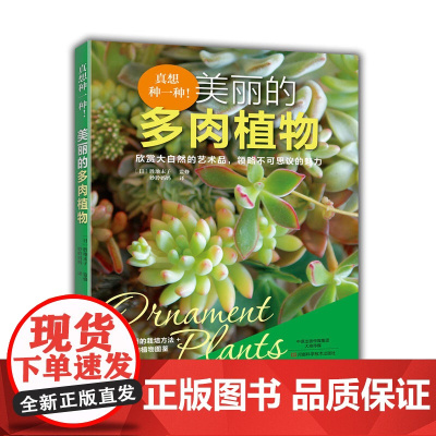 真想种一种!美丽的多肉植物