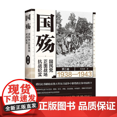 国殇 国民党正面战场抗战纪实 第二卷 张洪涛 著 政治军事