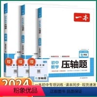 [数学 压轴题] 九年级/初中三年级 [正版]2024新版 初中数学压轴题七年级八年级九年级上册下册人教版 初中生初一初