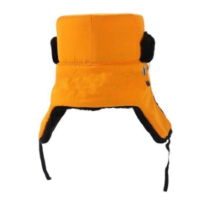 飞翔大雁 黄棉帽(定制)一顶