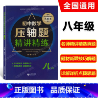 [正版]初中数学压轴题精讲精练 八年级/8年级 含答案 初二数学专项训练练习题知识大全难度大题题库解题技巧上下一册中考