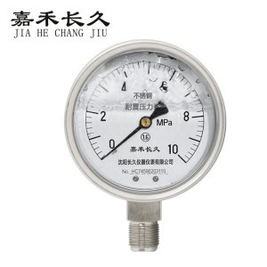 嘉禾长久 不锈钢耐震压力表检测定制型 YTN100BF 块
