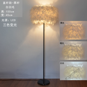 苏宁放心购 羽毛落地灯钓鱼客厅卧室书房创意网红遥控北欧极ins风立式台灯