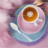 正版新书]平装绘本 睡前故事全8册)安徒生9787553480985