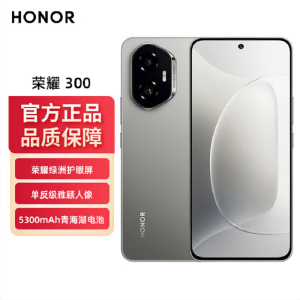 荣耀300 苍山灰 16GB+512GB 第三代骁龙7芯 5G 5300毫安青海湖电池 100W快充 拍照手机