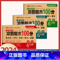 3科全套[语文+数学+英语]六年级下册期末试卷 小学升初中 [正版]2024年小升初模拟试卷真题卷必刷题语文数学英语人教