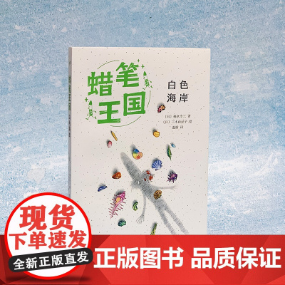 白色海岸(蜡笔王国系列)(日本七十年,“宫崎骏式”自然主义儿童文学的经典之作!)