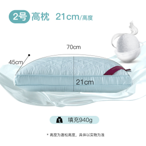 家柏饰(CORATED)家纺蚕丝枕头枕单人酒店枕芯丝棉枕健康家用一对拍2