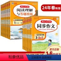 同步作文+答题模板 二年级下 [正版]2024新版小学生一年级二年级三年级四年级五年级六年级下册同步作文人教版语文答题模