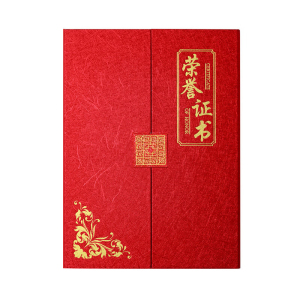 振之宏 证书 21*29.7cm 套