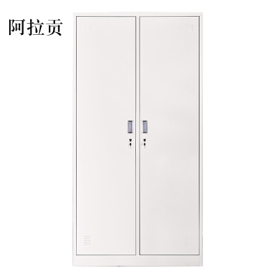 阿拉贡加厚二门钢制更衣柜员工柜铁皮职工储物柜带锁存包柜鞋柜