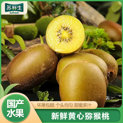 [苏鲜生]四川黄心猕猴桃 10枚装 (单果90-110g大果) 猕猴桃奇异果