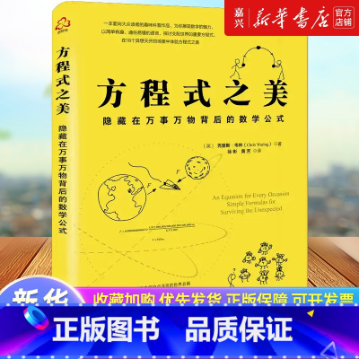 [正版] 方程式之美 隐藏在万事万物背后的数学公式用数学知识化解现实难题10-16-18岁初中高中小学生课外阅读程中考