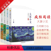 大家小文4册套装 [正版]2024版天星教育疯狂阅读大家小文月照寸心/思想芦苇/万物有灵/遗世独立4册任选散文素材名人名