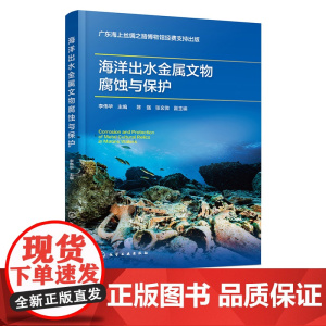 海洋出水金属文物腐蚀与保护 南海I号 金属文物除锈方法 金属文物有害盐脱除方法 海洋出水金属文物缓蚀技术 金属文物的封护