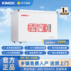 (冰洗)星星(XINGX)400升 商用冰柜冷藏保鲜强劲冷冻超市便利店大容量家商两用单温冷柜 BD/BC-400R