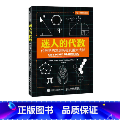 [正版]迷人的代数 代数学的发展历程及重大成就 数学 代数 难题书籍