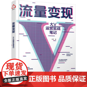 流量变现:大V运营实战笔记 叶问 化学工业出版社 正版书籍