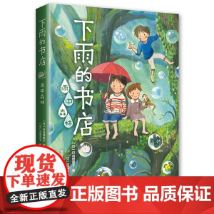 下雨的书店:雨中森林