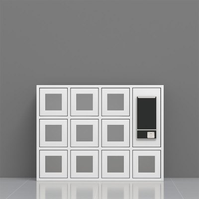 臻远ZY4031509智能手机柜充电柜手机设备寄存柜 10门