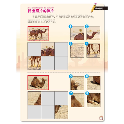 [M]小牛顿探秘自然乐玩游戏--极地探险沙漠探险 小牛顿团队著 著 -9787531586005