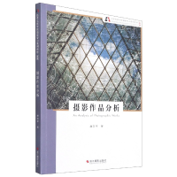 音像摄影作品分析(新版北京电影学院摄影专业系列教材)唐东平 著