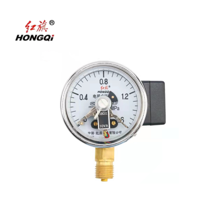 红旗 电接点压力表定制检测款YX60(压力值需备注) 块