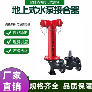 中锦科技 地上水泵接合器 SQS150-1.6A DN150 带止回阀 台