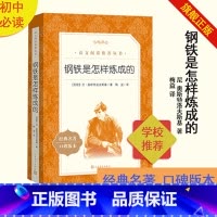 [正版]钢铁是怎样炼成的尼奥斯特洛夫斯基著八年级下语文阅读丛书中小学语文初中部分人民文学出版社