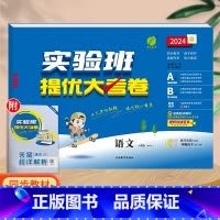 语文(人教版)。 二年级下 [正版]实验班提优大考卷一年级二年级三四五六年级上册语文数学英语人教版北师大苏教下册期中期末