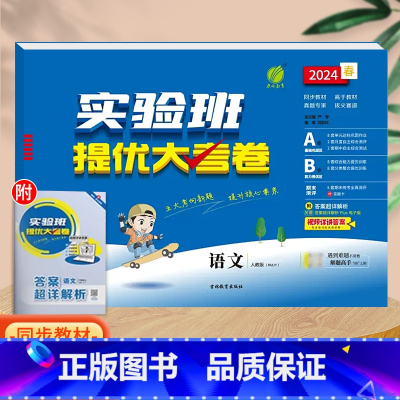 语文(人教版)。 二年级下 [正版]实验班提优大考卷一年级二年级三四五六年级上册语文数学英语人教版北师大苏教下册期中期末