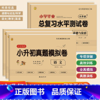3本[小升初真题模拟卷]语数英 小学升初中 [正版]2024版小升初真题卷语文数学英语科学道德与法治人教教科版六年级下册