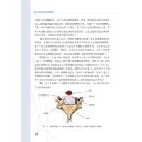 B[正版] 张立教您如何治好颈椎病 医患情景式对话故事书 张立 编著 颈椎 脊椎病诊疗康复 患者指导 978756592