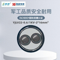 秦源牌 YJLV22-0.6/1KV-2*16mm² 铝芯低压铠装电力电缆 联系客服 定制商品