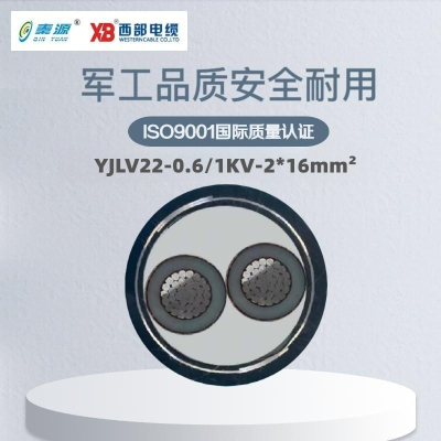 秦源牌 YJLV22-0.6/1KV-2*16mm² 铝芯低压铠装电力电缆 元/米 定制商品 联系客服
