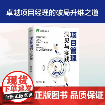 项目管理洞见与实践 张文光 著 管理