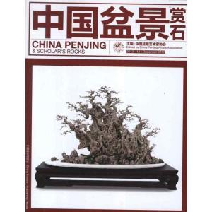 正版新书]中国盆景赏石(2012-12)中国盆景艺术家协会97875038684