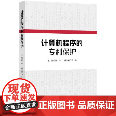 2024新书 计算机程序的专利保护 陈伟 主编 知识产权出版社 9787513094566