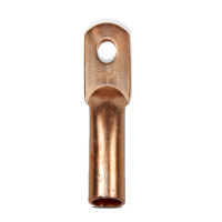 新沃 铜镀锡接线端子铜镀锡铜鼻子 DT 个