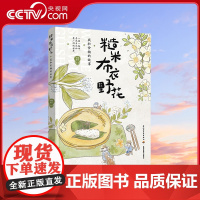 书央视网]糙米 布衣 野花 我和食物的故事 新大理人生活的文字与手绘记录 睿子 著 诗琦 绘 中国轻工业出版社 QG