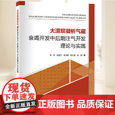 大涝坝凝析气藏衰竭开发中后期注气开发理论与实践 本书能够作为油气开发方向的通用参考书籍 中国石化出版社